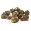 Buy Psilocybe Mexicana