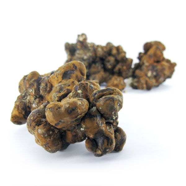 Pandora magic truffles
