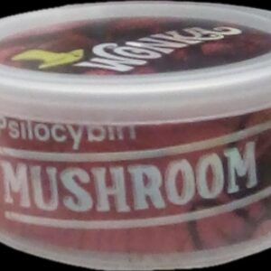 Wonka Mushroom Can