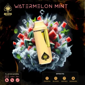 Ace Ultra Watermelon Mint