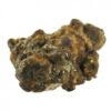 Buy Magic Truffles Hollandia Online