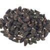 Buy Morning Glory Seeds Online